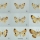 Two new species and two new subspecies of geometrid moths discovered in Africa